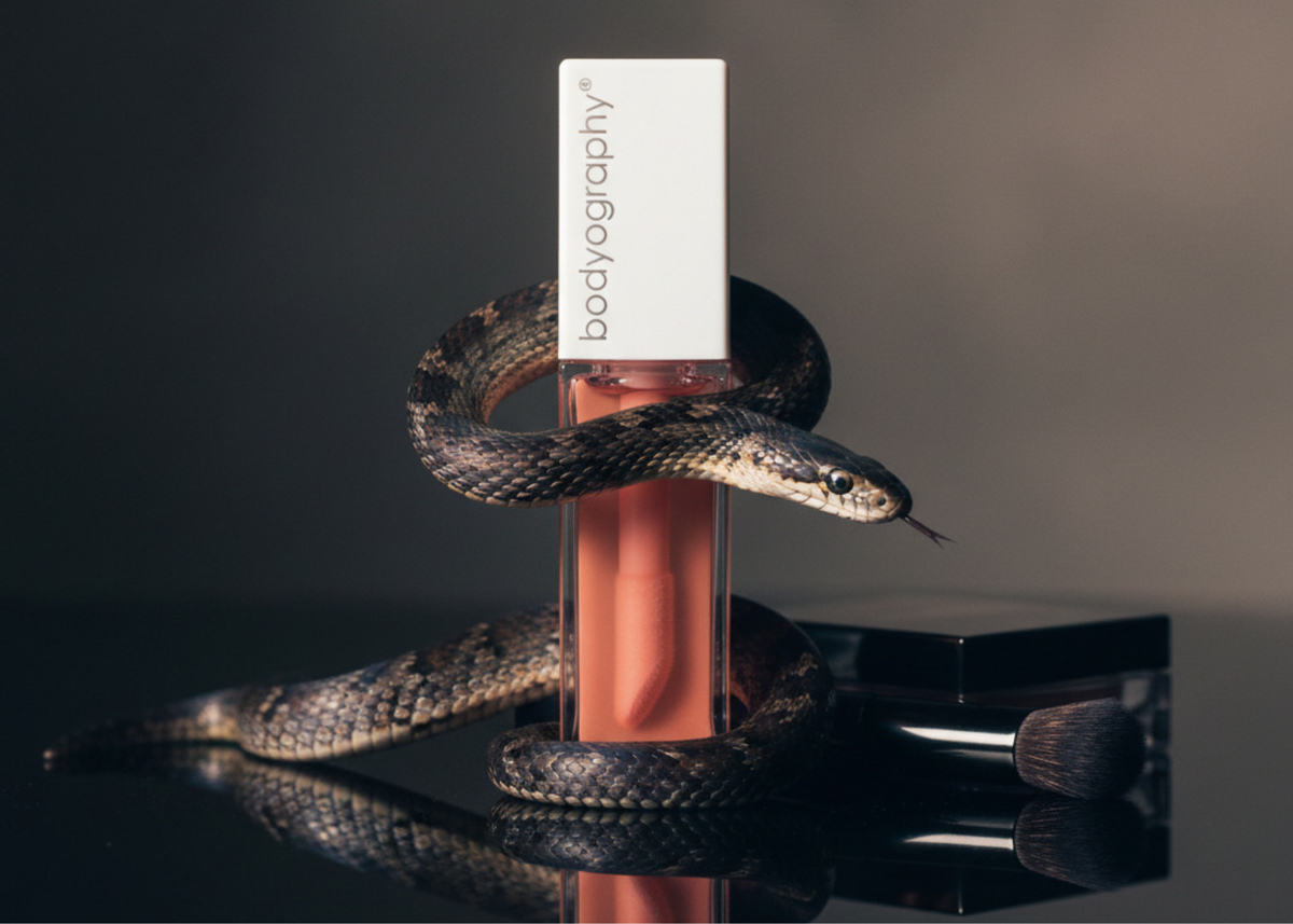 2025 Wrapped | 2026 Loading - The Year of The Snake